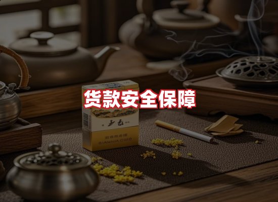 专业团队